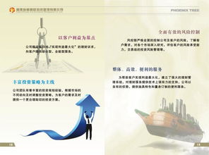 福建梧桐树投资图册 深耕本土的资本管理之道